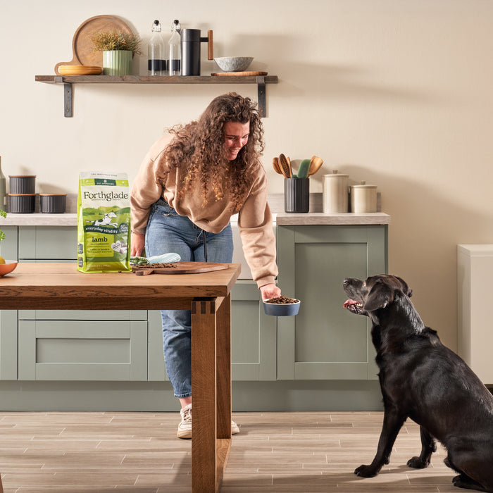 2kg Lightly Baked Lamb Dry Dog Food
