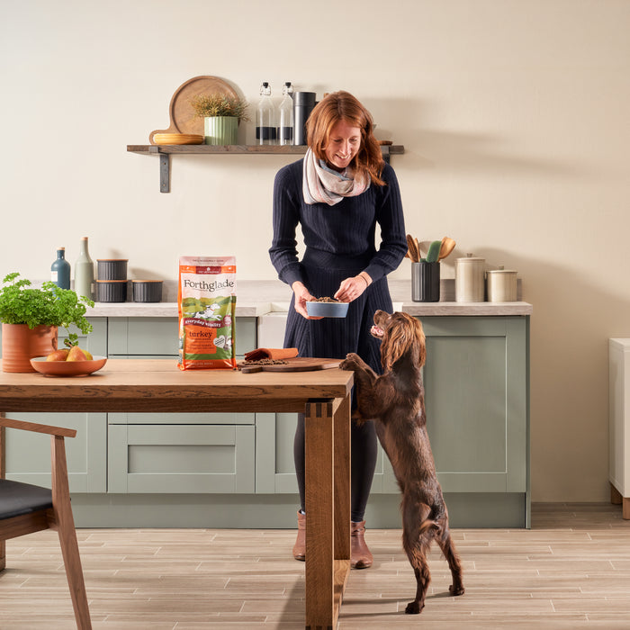 2kg Lightly Baked Turkey Dry Dog Food