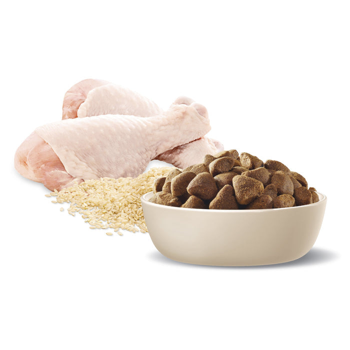 Advance Chicken and Rice Large Breed Adult Dog Dry Food 15kg
