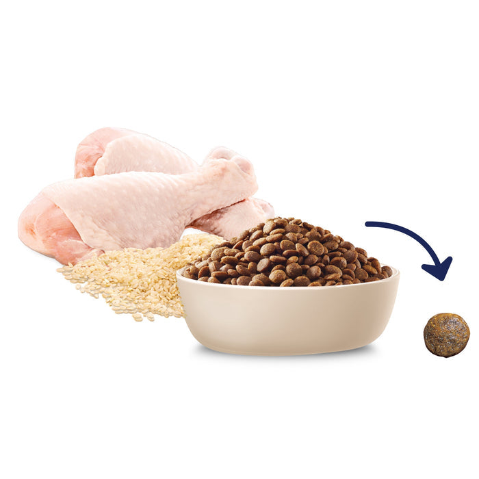 Advance Chicken and Rice Medium Breed Puppy Dry Food 3kg