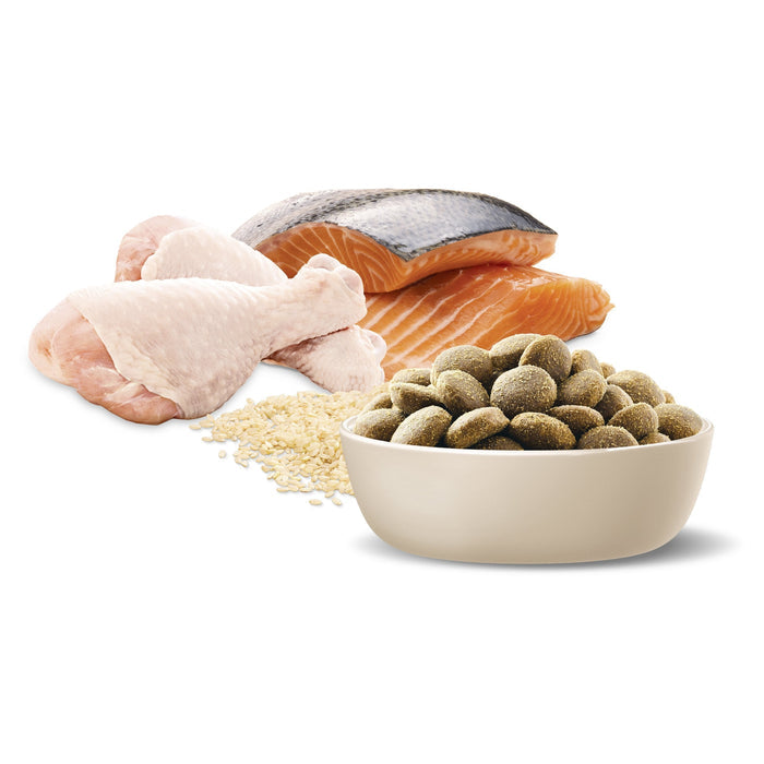 Advance Chicken and Turkey Retrievers Adult Dog Dry Food 13kg