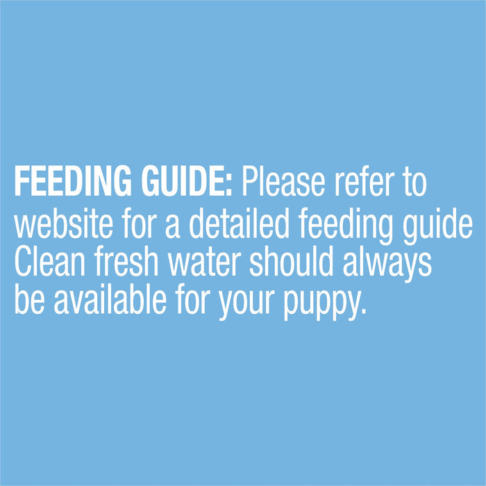 Advance Lamb and Rice All Breed Puppy Wet Food 100g x 12