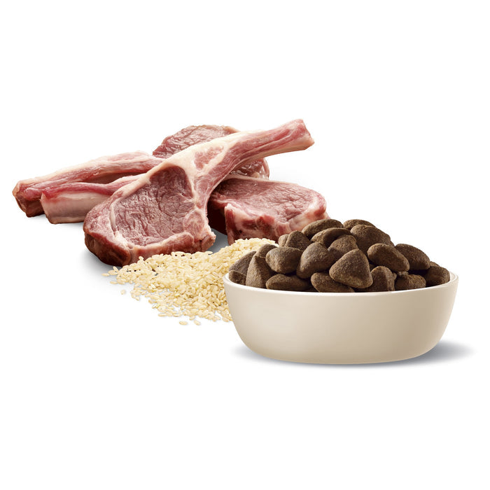 Advance Lamb and Rice Large Breed Adult Dog Dry Food 15kg