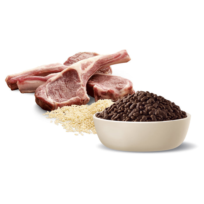 Advance Lamb and Rice Small Breed Adult Dog Dry Food 3kg