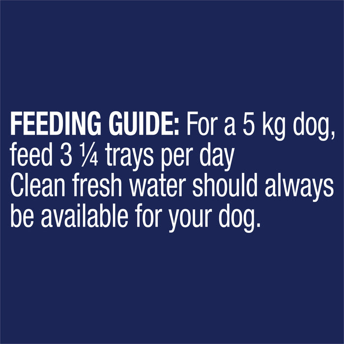 Advance Turkey All Breed Adult Dog Wet Food 100g x 12