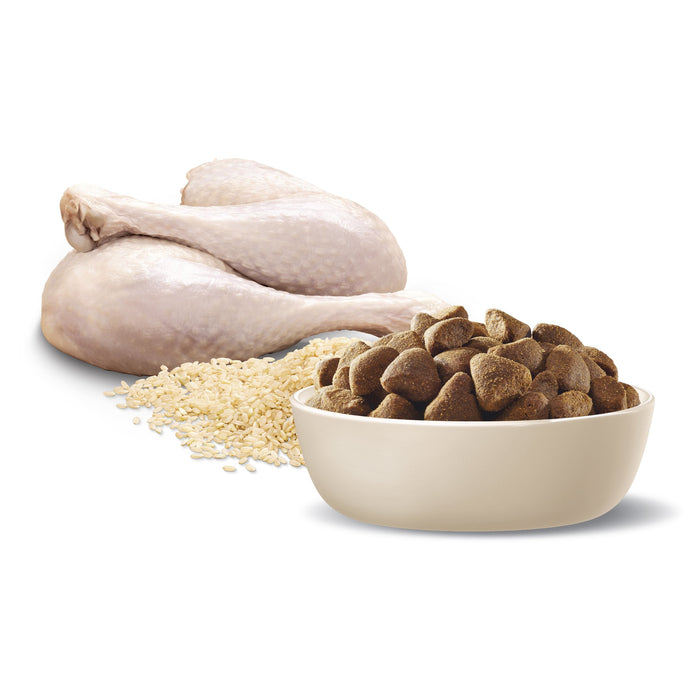Advance Turkey and Rice Large Breed Adult Dog Dry Food 15kg