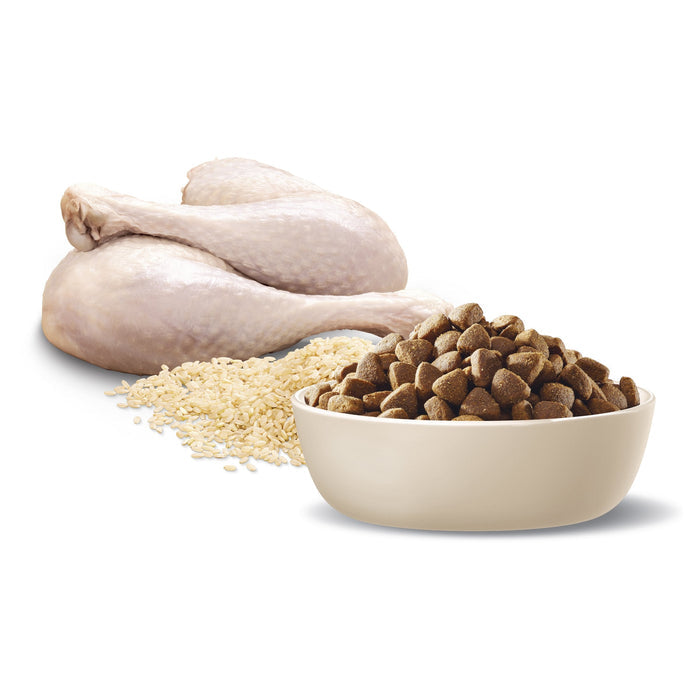 Advance Turkey and Rice Medium Breed Adult Dog Dry Food 15kg