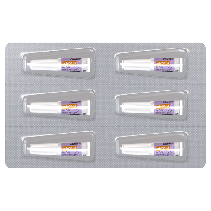 Advocate Flea Heartworm and Worm Treatment for Cats 4kg Purple 6 Pack