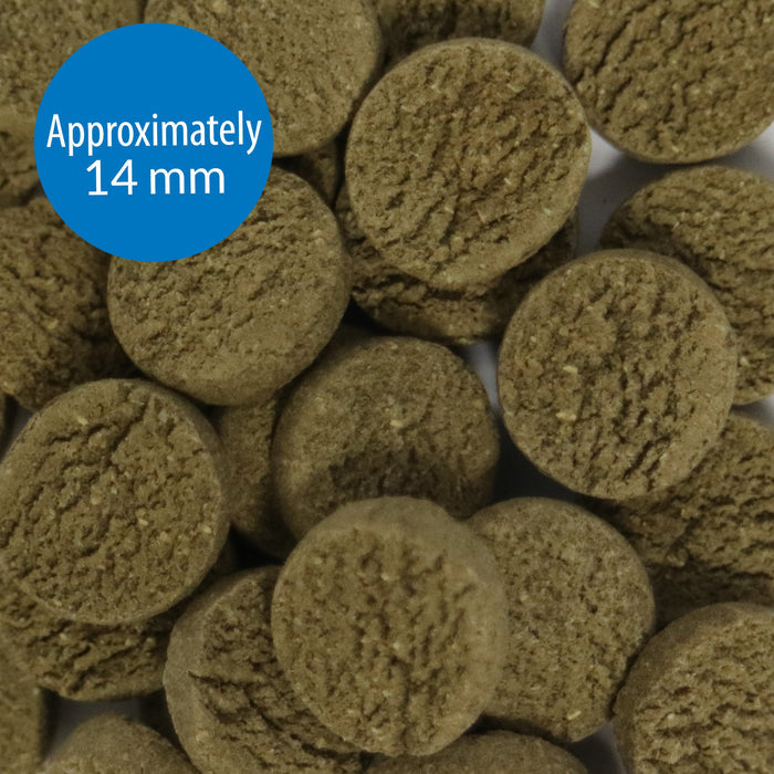 API Algae Wafers 105g