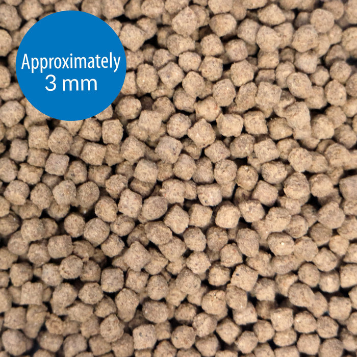 API Bottom Feeder Squid Pellets 113g