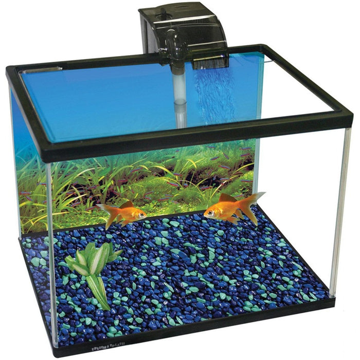 Aqua One Splish and Splash Aquarium Starter Kit Medium 21L
