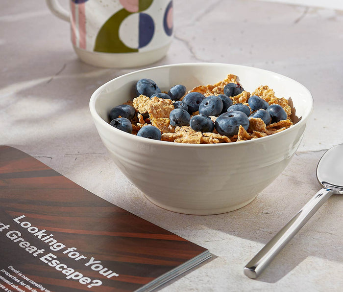 Danica Heirloom Aquarius Oyster White Cereal Bowls - lollygag