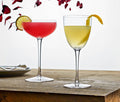 Aurora-Vesper Coupe and Nick and Nora Classic Bar Set - Lollygag.co
