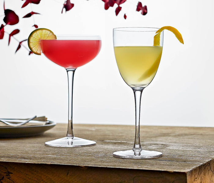 Aurora-Vesper Coupe and Nick and Nora Classic Bar Set - Lollygag.co