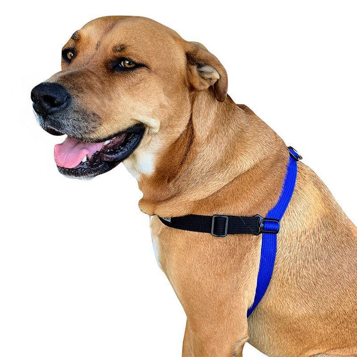 Black Dog Wear Balance Harness Red Extra Large