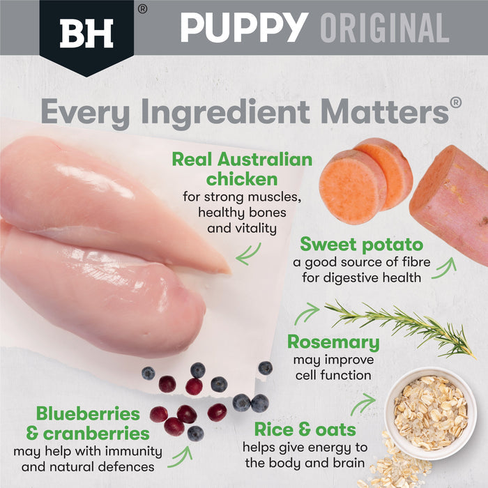 Black Hawk Chicken and Rice Medium Breed Puppy Dry Dog Food 3kg