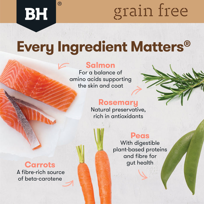 Black Hawk Grain Free Salmon Dry Dog Food 7kg