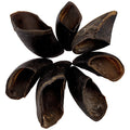 Blackdog Cow Hooves Dog Treats 20 Pack-Habitat Pet Supplies