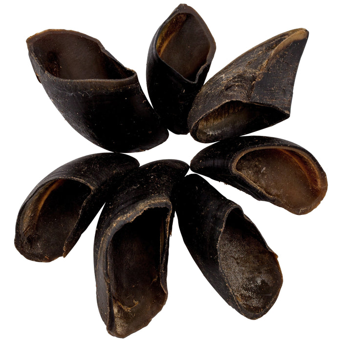 Blackdog Cow Hooves Dog Treats 20 Pack-Habitat Pet Supplies