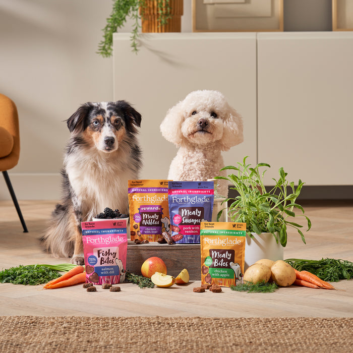 British Classics Wet Dog Food & Meaty Treats Bundle