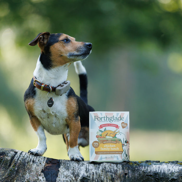 British Classics Wet Dog Food Taster Pack