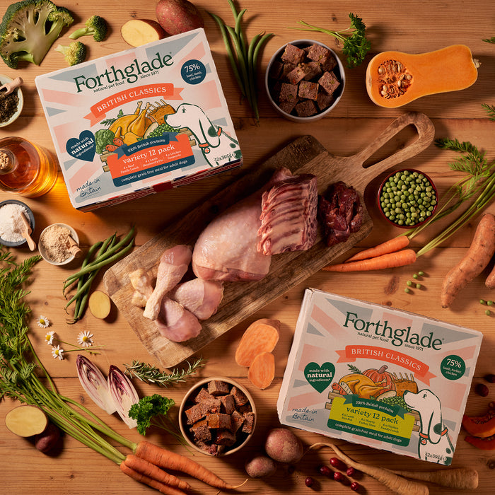 British Classics Wet Dog Food Variety Multipack