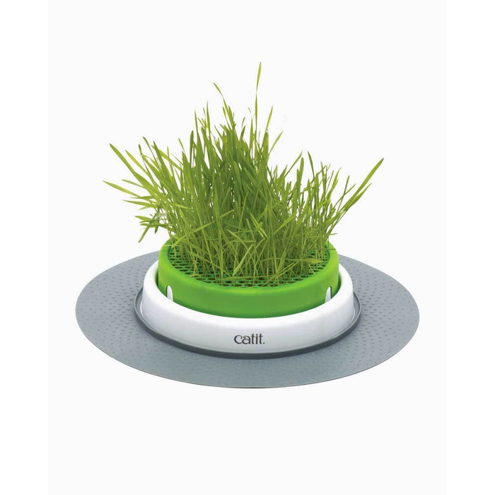 CATIT 2.0 PLANTER GRASS REFILL - Habitat Pet Supplies Altona & Chirnside Park