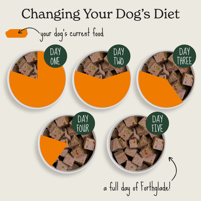 Chicken & Duck Wet Dog Food Variety Pack