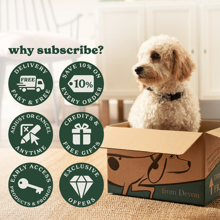 Cold Pressed Dry Dog Food Variety Bundle (4 x 6kg)