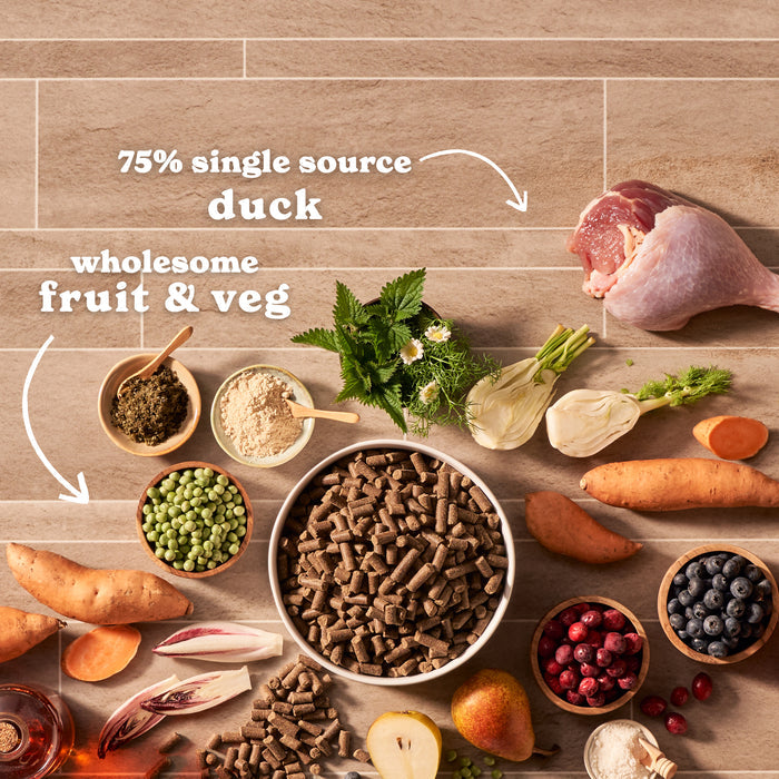 Cold Pressed Duck Dry Dog Food