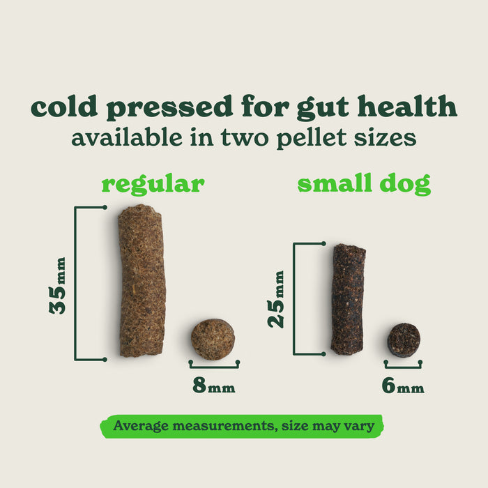 Cold Pressed Salmon Dry Dog Food
