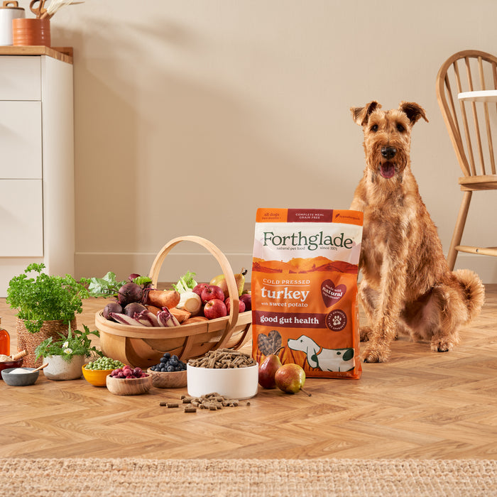 Cold Pressed Turkey Dry Dog Food