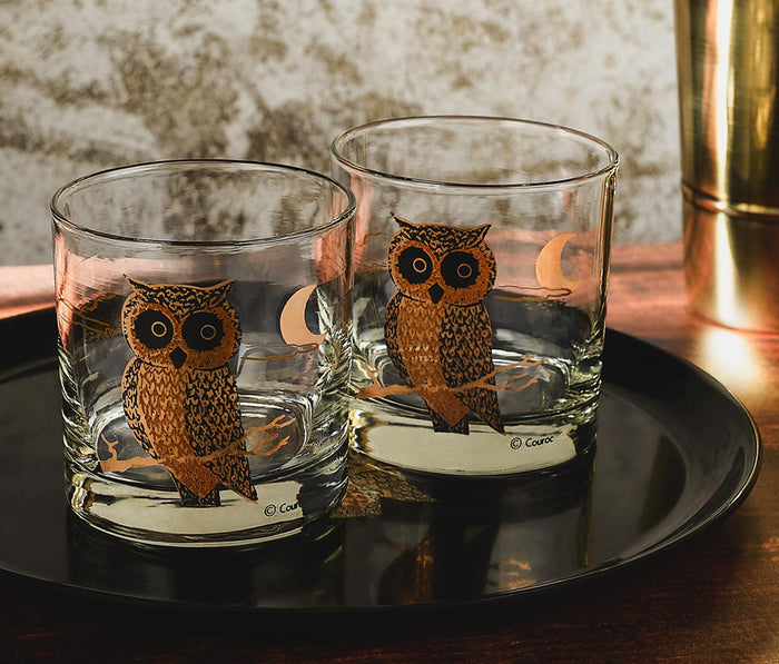Couroc Of Monterey Owl Whiskey Glass Set - Lollygag