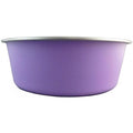Delisio Design Stainless Steel Dog Bowl Purple Extra Small-Habitat Pet Supplies