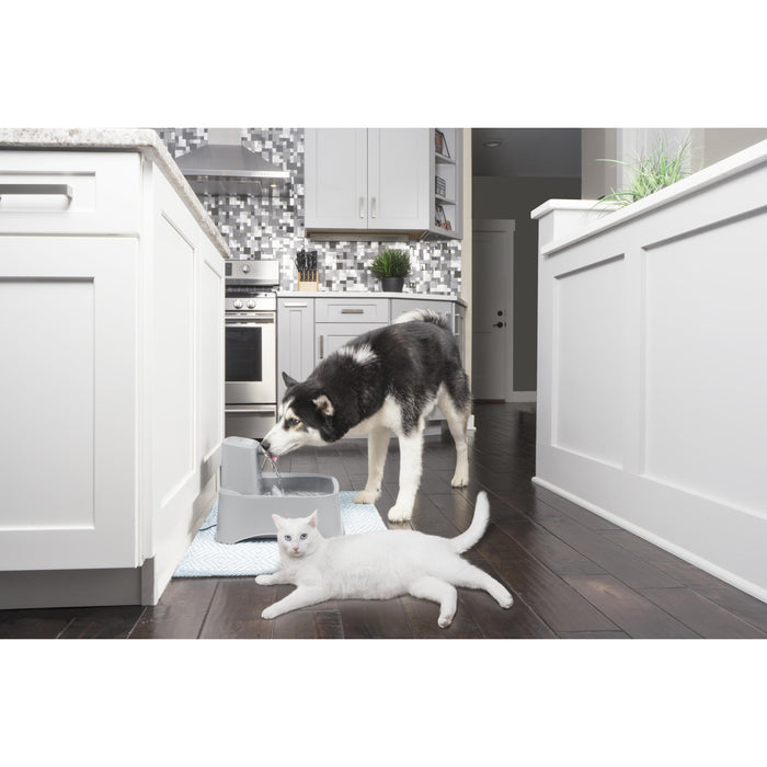 Drinkwell Fresh Water Pet Fountain 7.5 Litres for Cats and Dogs