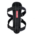 EzyDog Chestplate Dog Harness Black Medium-Habitat Pet Supplies