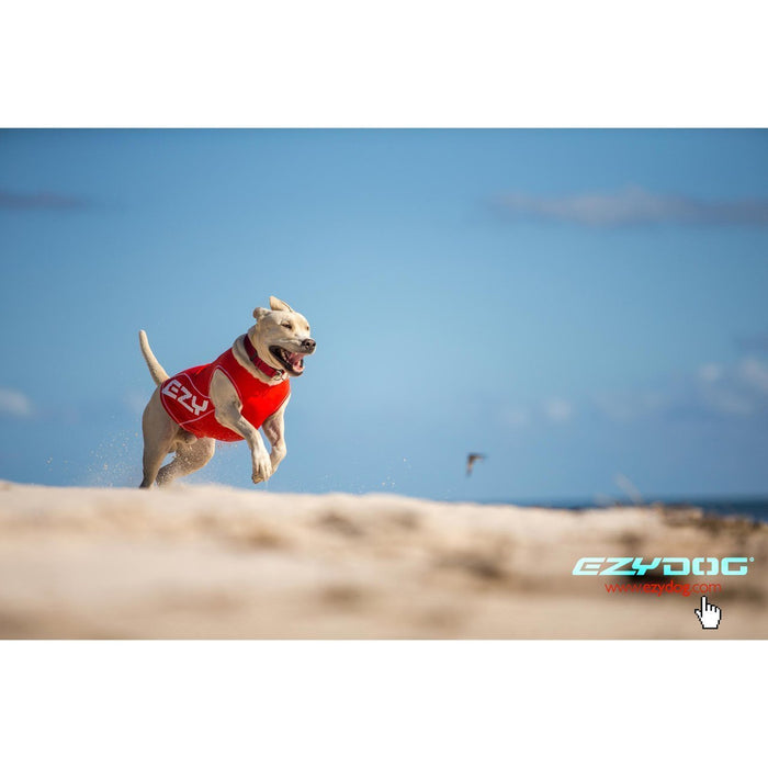 EzyDog Dog Rashie 50+UV Extra Large