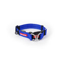 EzyDog Double Up Dog Collar Blue Medium-Habitat Pet Supplies