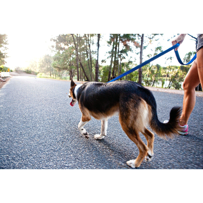EzyDog Essential Dog Lead Blue