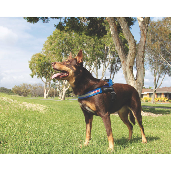 EzyDog Express Red Dog Harness Medium