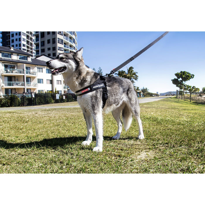 EzyDog Express Red Dog Harness Medium