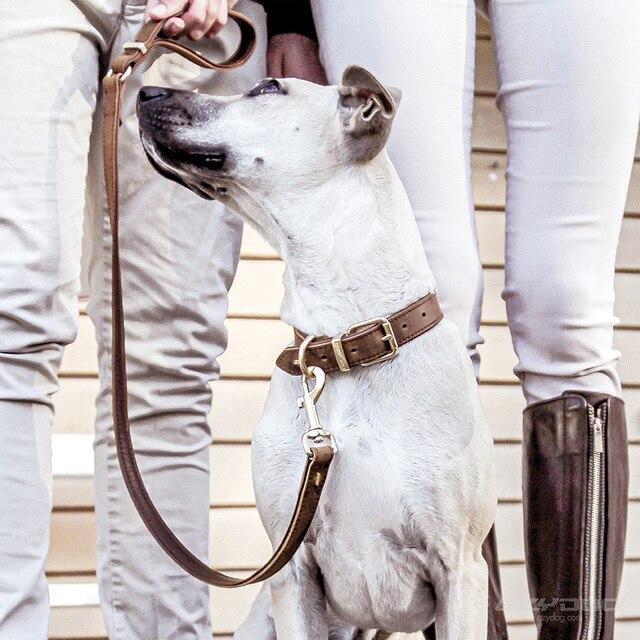 EzyDog Oxford Leather Dog Collar Brown Extra Large