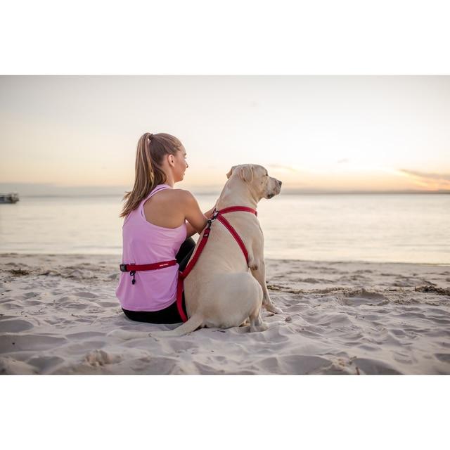 Ezydog Road Runner Dog Leash 25 Red