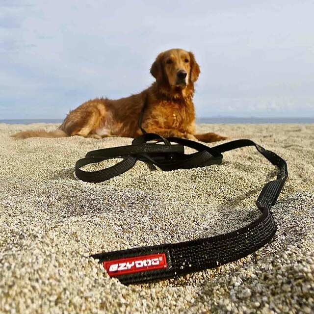 Ezydog Track N Train Dog Leash 19 Black