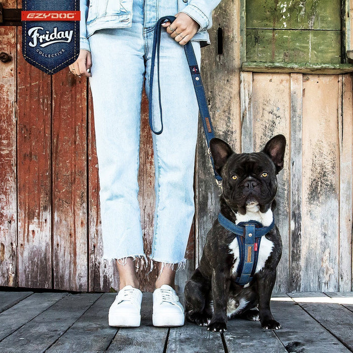 Ezydog Vario Dog Leash 4 Denim