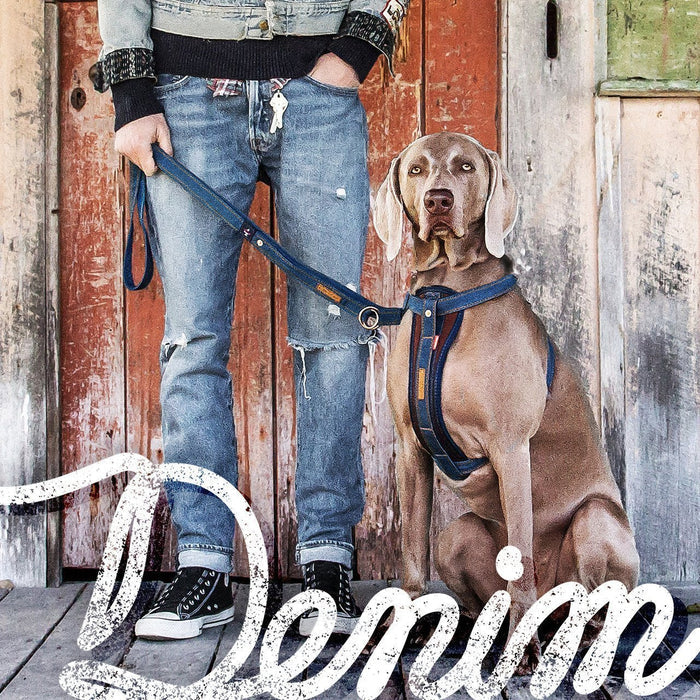 Ezydog Vario Dog Leash 4 Denim