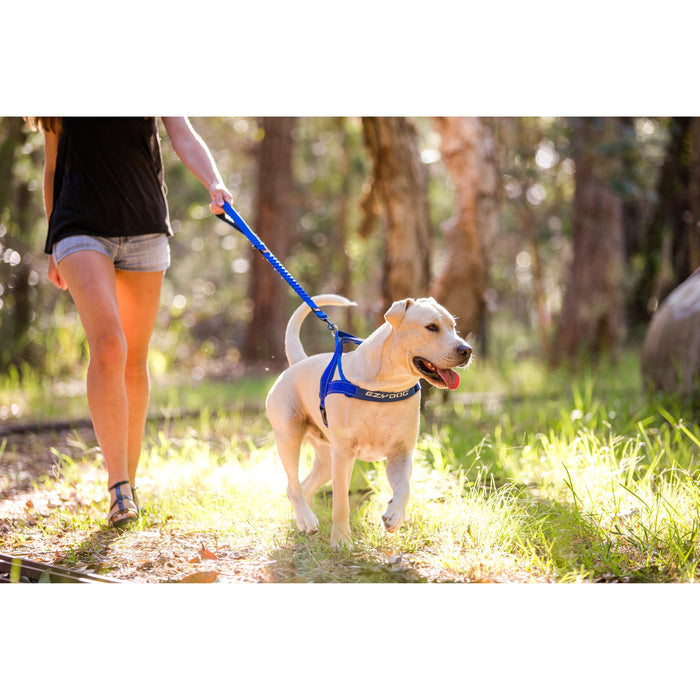 Ezydog Zero Shock Dog Leash 48 Black