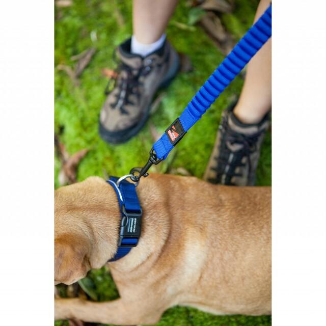 Ezydog Zero Shock Dog Leash 48 Blue