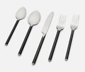 Flatiron Stainless 5-Piece Flatware - lollygag