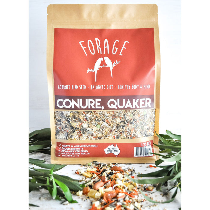 Forage Conure and Quaker Gourmet Bird Seed 1.75kg-Habitat Pet Supplies
